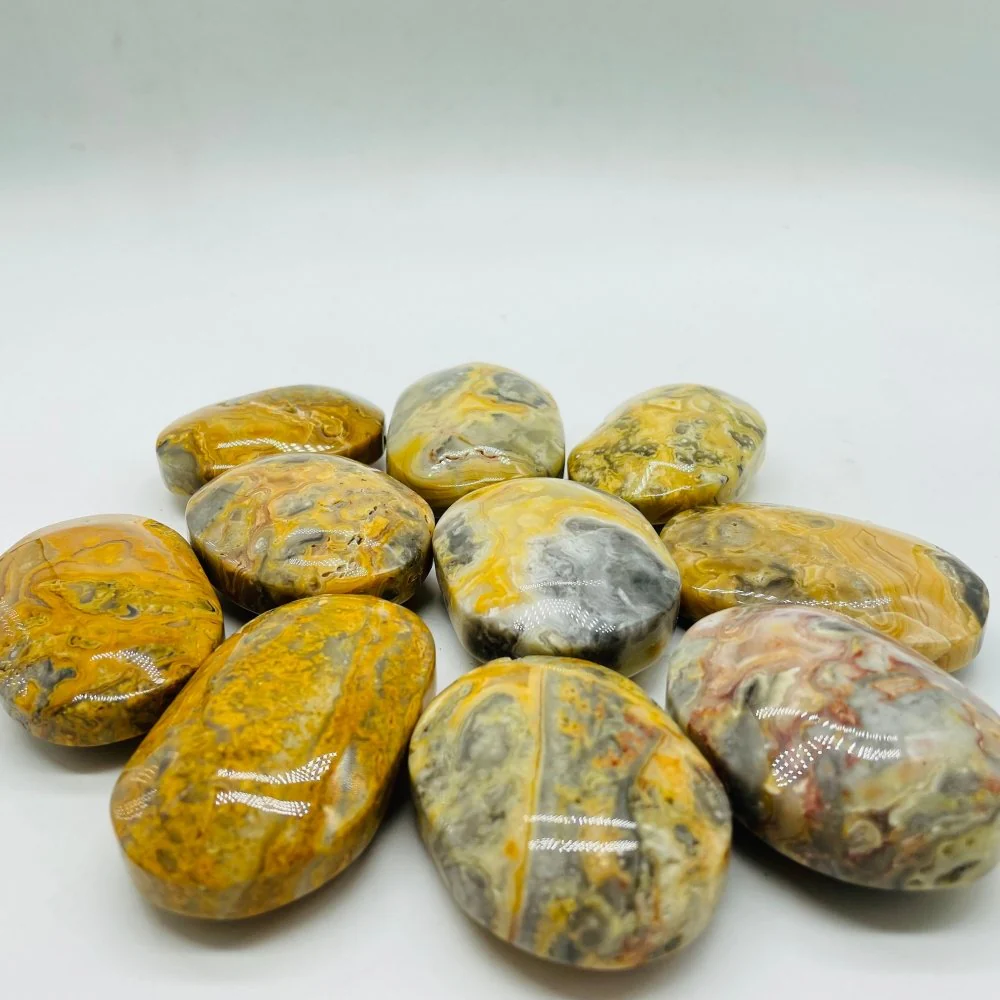 Crazy Agate Palm Wholesale - Image 3