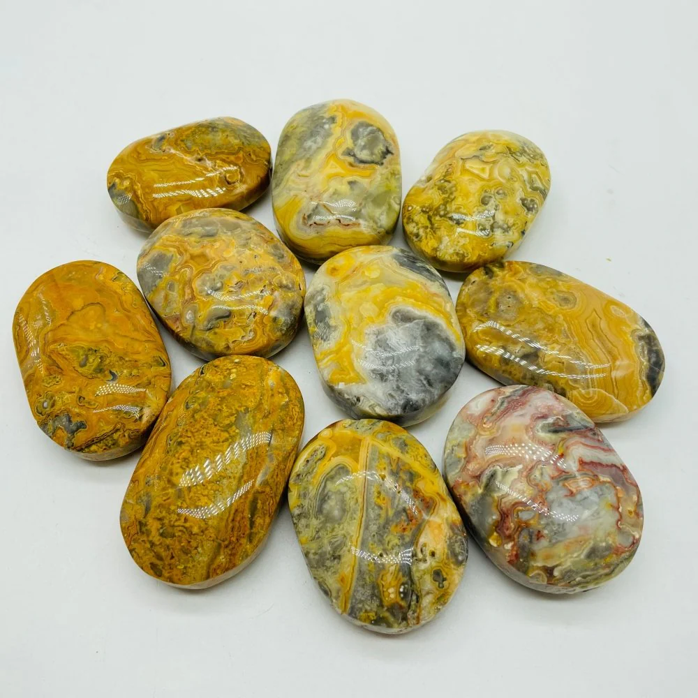 Crazy Agate Palm Wholesale - Image 4