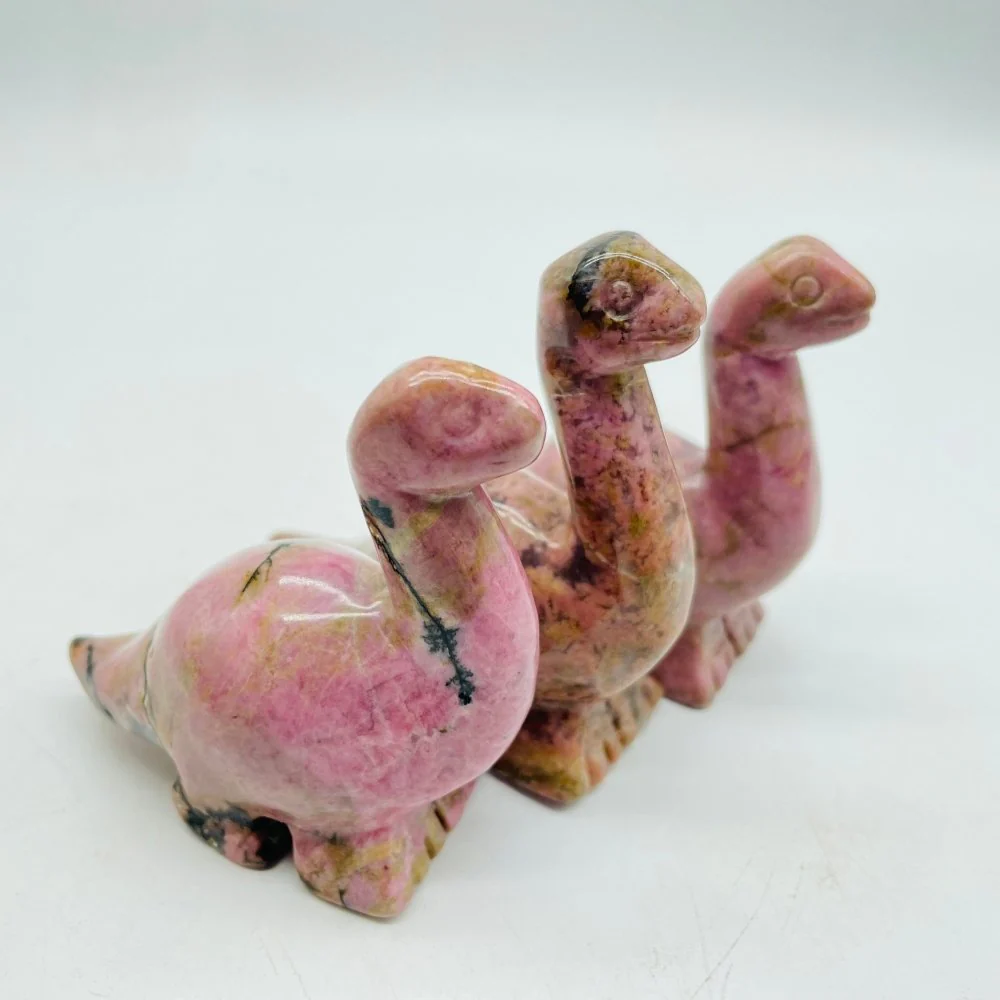 5 Types Dinosaur Chevron Amethyst & Moss Agate Carving Animals Wholesale - Image 3