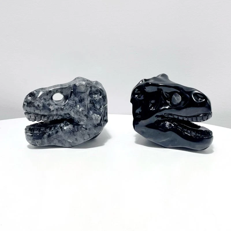 Dinosaur Skull Carving Wholesale Obsidian Larvikite - Image 2