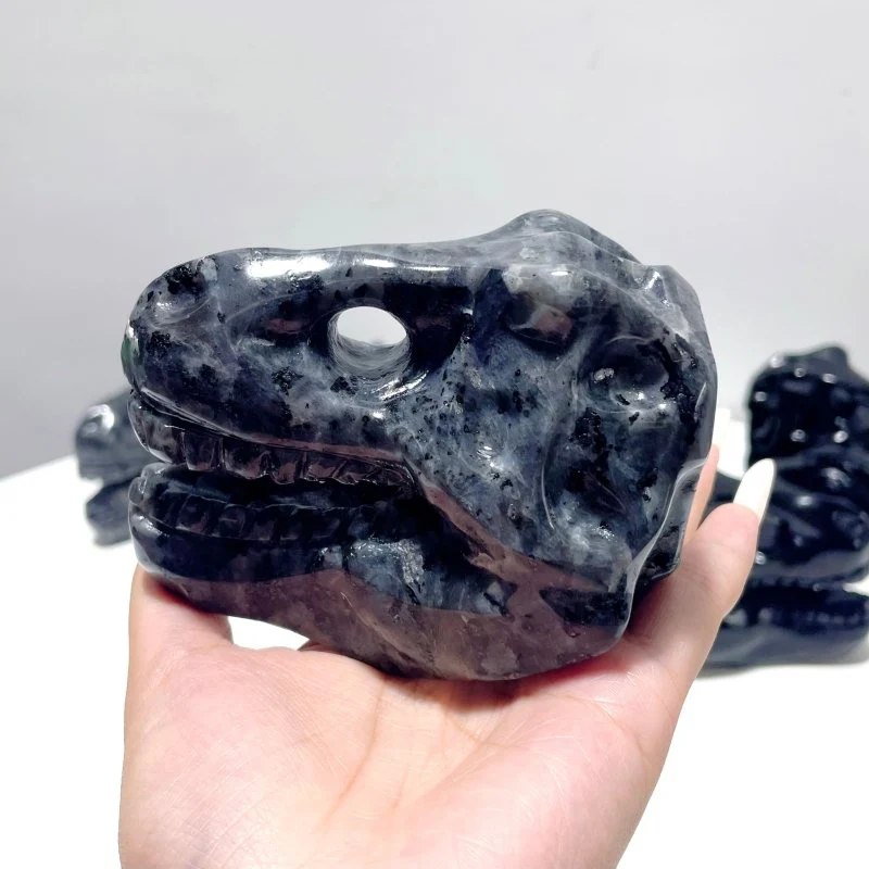 Dinosaur Skull Carving Wholesale Obsidian Larvikite - Image 4