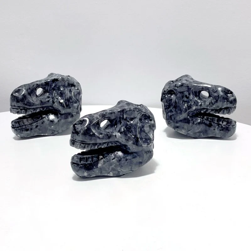 Dinosaur Skull Carving Wholesale Obsidian Larvikite - Image 5