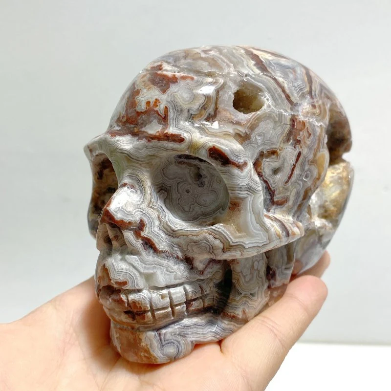 8 Pieces Geode Druzy Morocco Agate Skull Carving #1 - Image 2