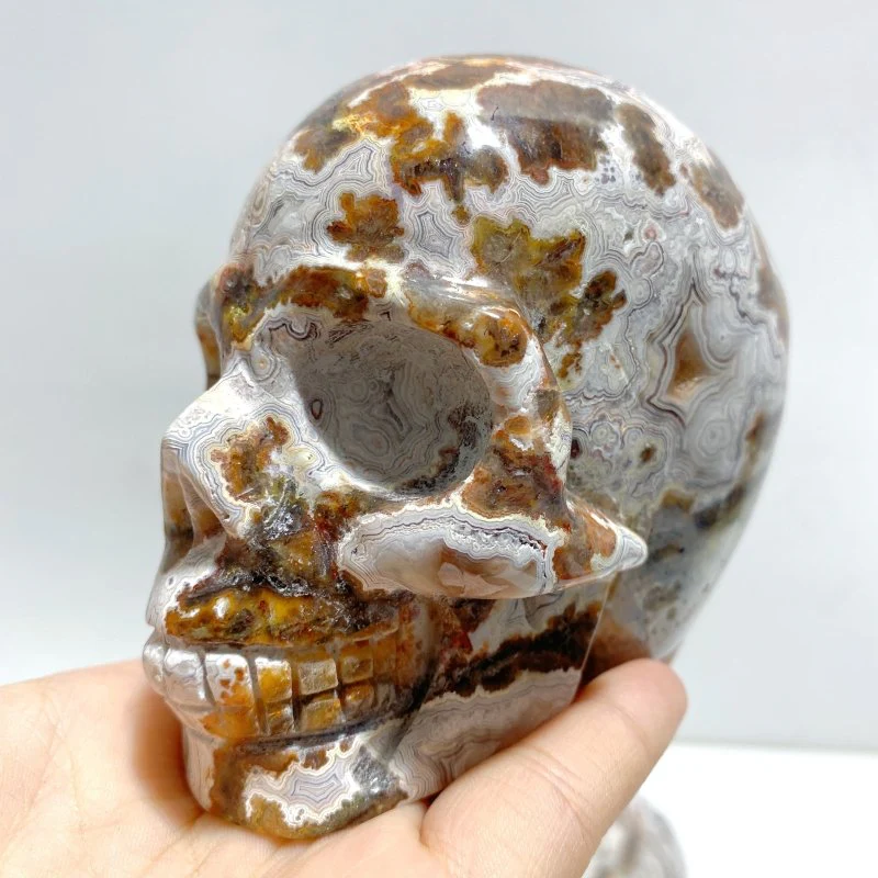 8 Pieces Geode Druzy Morocco Agate Skull Carving #4 - Image 5