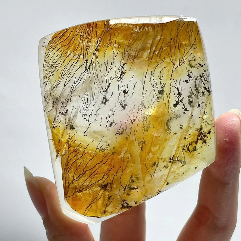 Golden Hematoid Crystal Mixed Pyrolusite Tree Free Form