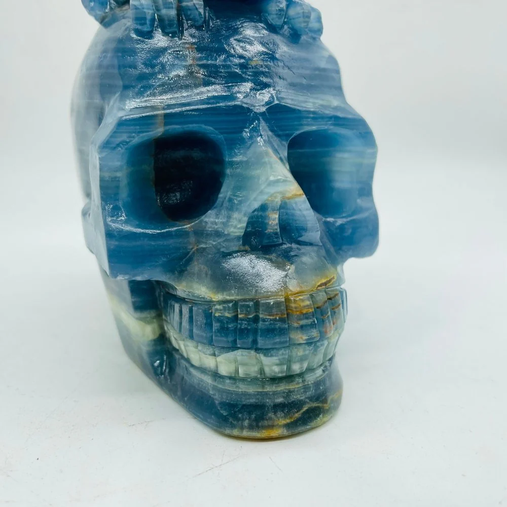 High Quality Blue Onyx Dinosaur Skull Carving - Image 4