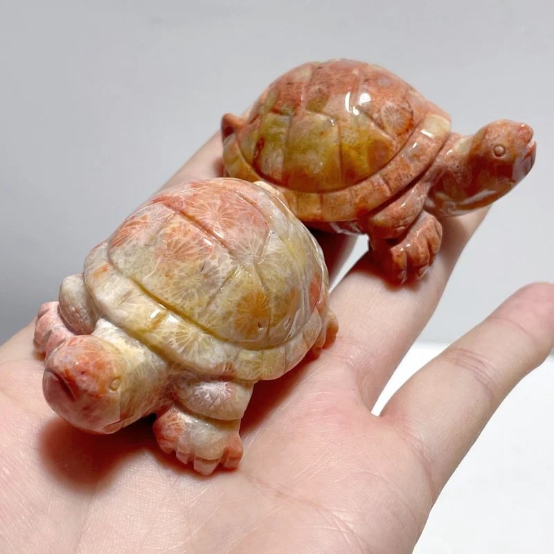 8 Pieces High Quality Coral Jade Turtle Carving #1 - Image 4