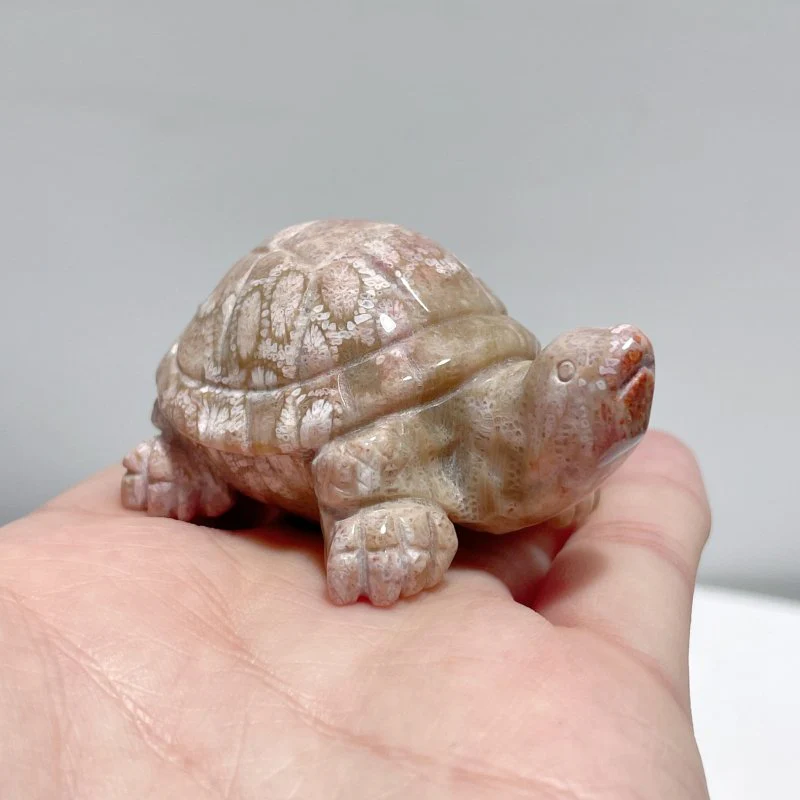 7 Pieces High Quality Coral Jade Turtle Carving #3 - Image 3