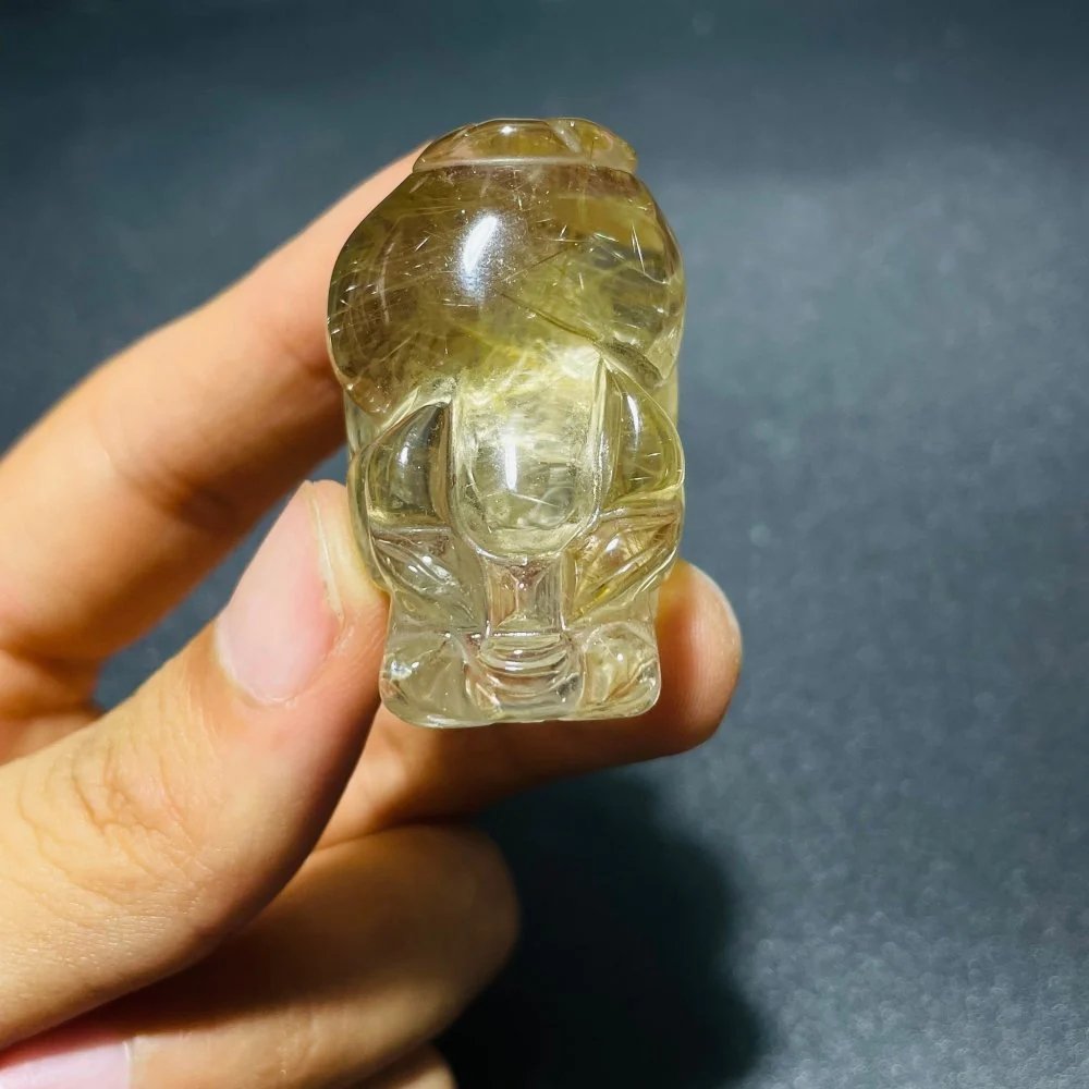 2 Pieces High Quality Golden Rutile Pi Xiu Carving - Image 4