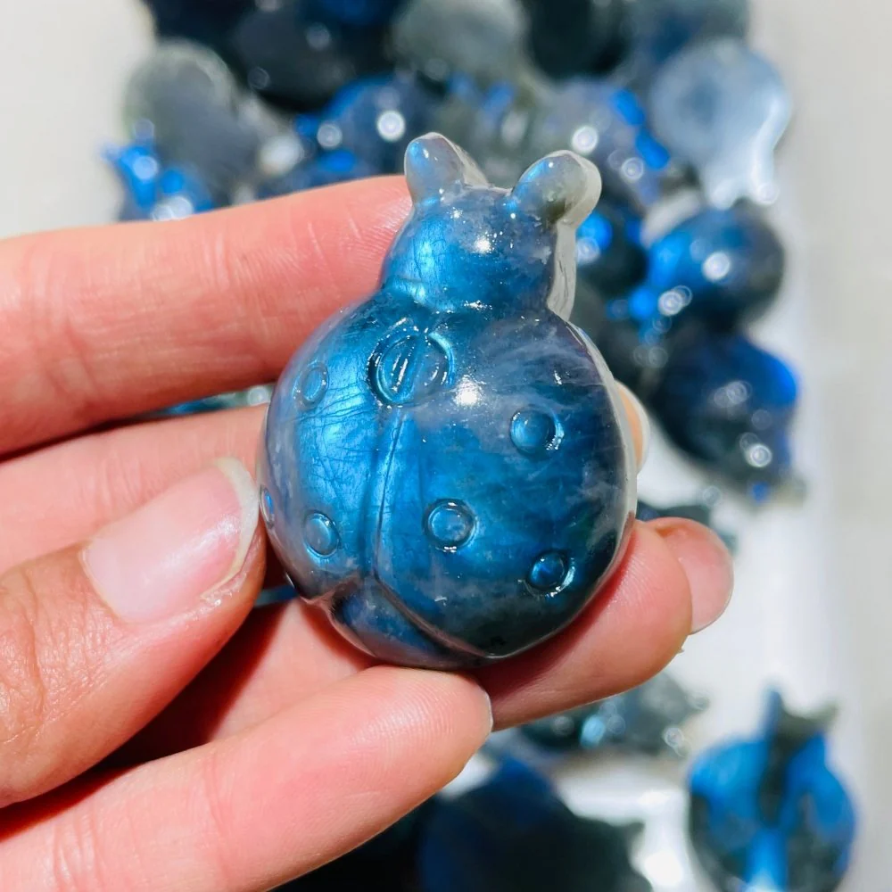 High Quality Labradorite Ladybug Carving Wholesale - Image 5