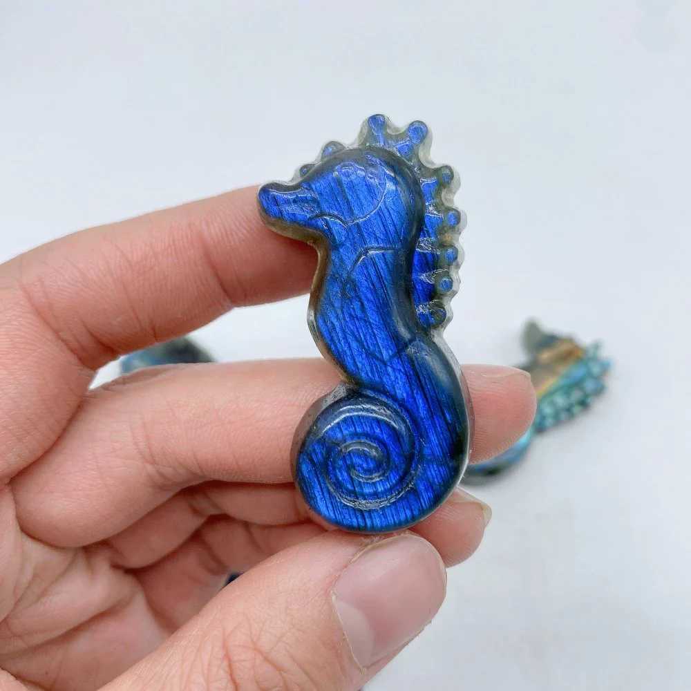 High Quality Labradorite Seahorse Carving Wholesale - Image 4