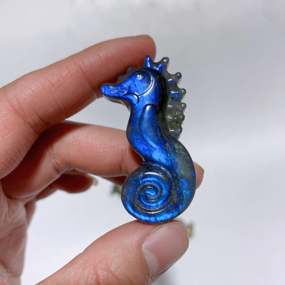 High Quality Labradorite Seahorse Carving Wholesale - Image 6