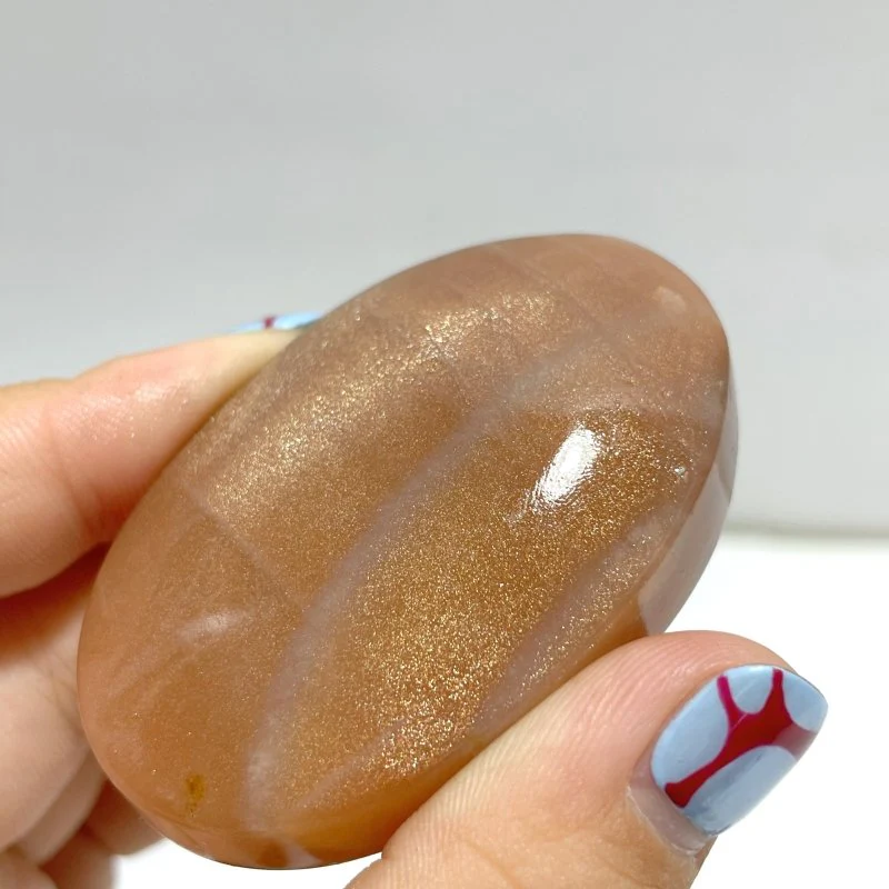 High Quality Sunstone Palm Wholesale - Image 2