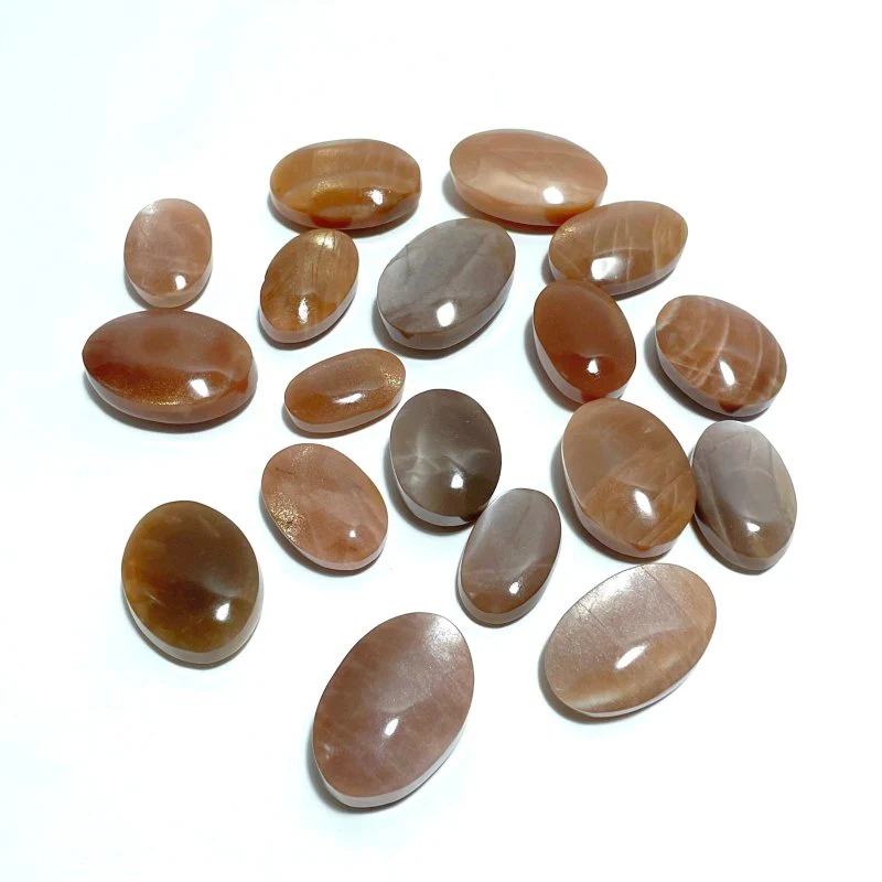 High Quality Sunstone Palm Wholesale - Image 3