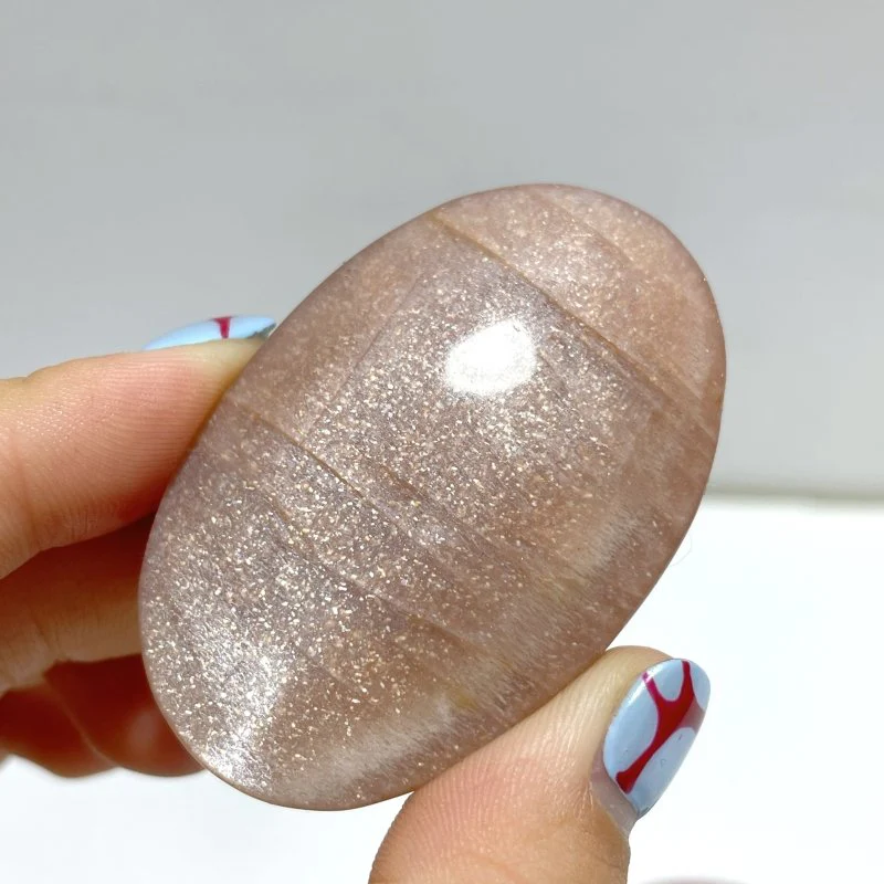 High Quality Sunstone Palm Wholesale - Image 4