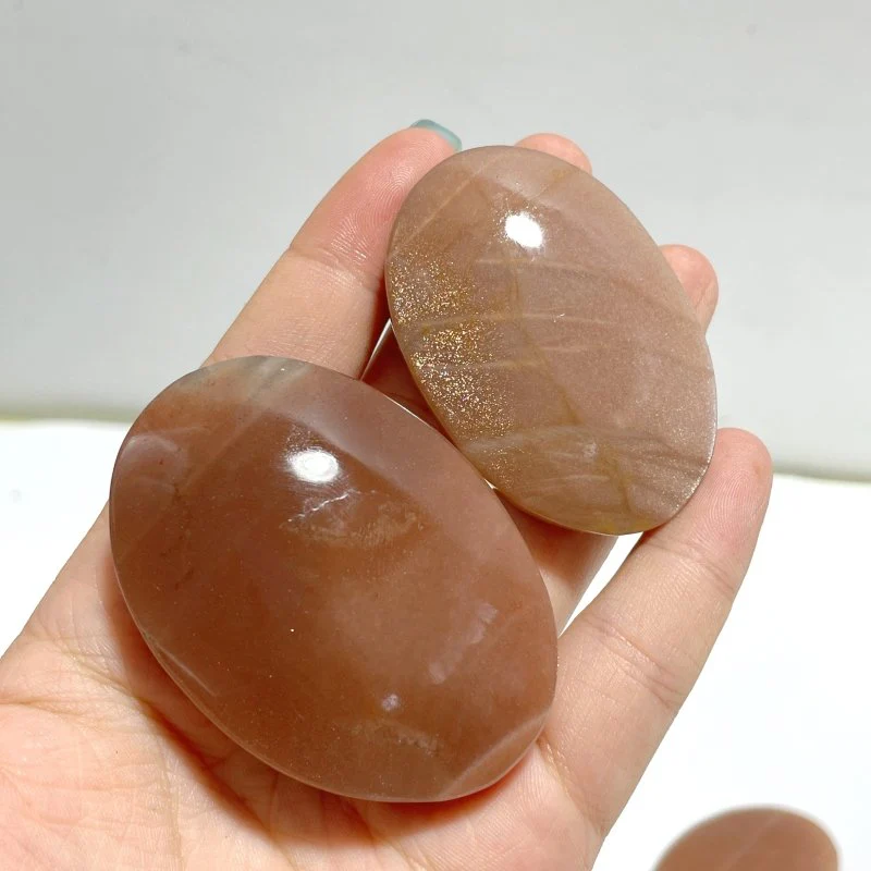 High Quality Sunstone Palm Wholesale - Image 5