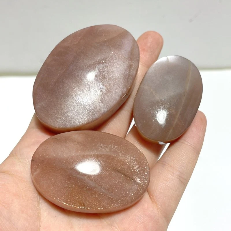 High Quality Sunstone Palm Wholesale - Image 6