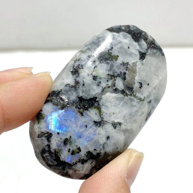 India Moonstone Palm Wholesale - Image 4