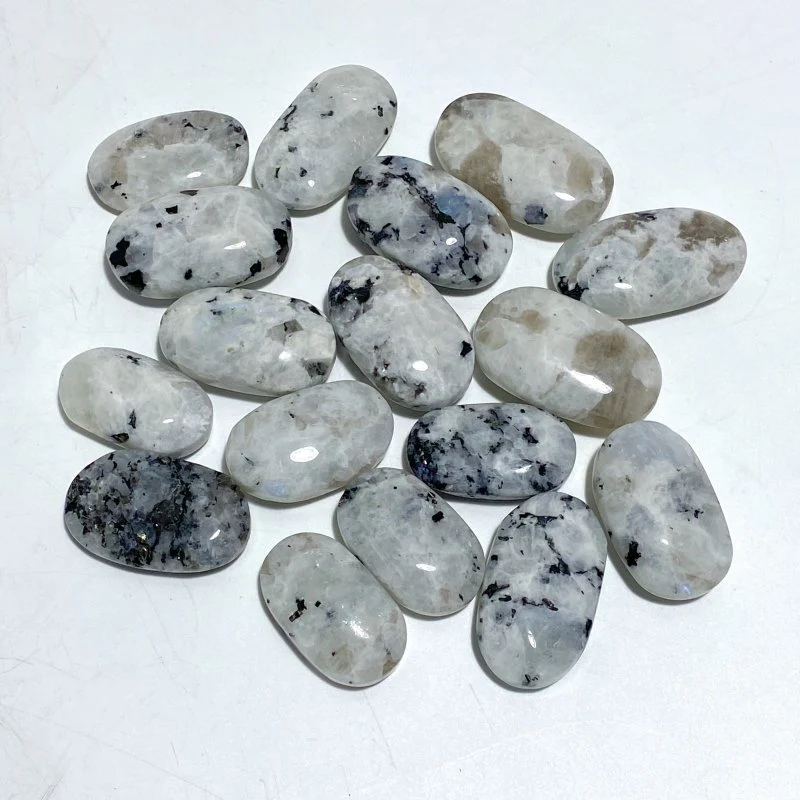 India Moonstone Palm Wholesale - Image 5