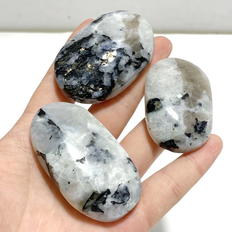 India Moonstone Palm Wholesale - Image 6