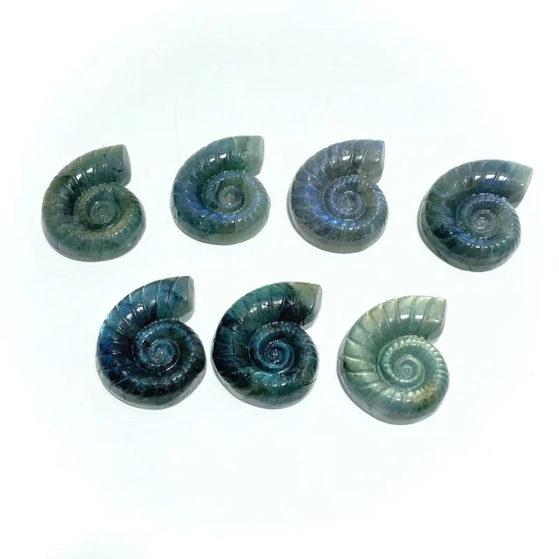 Labradorite Conch Carving Wholesale