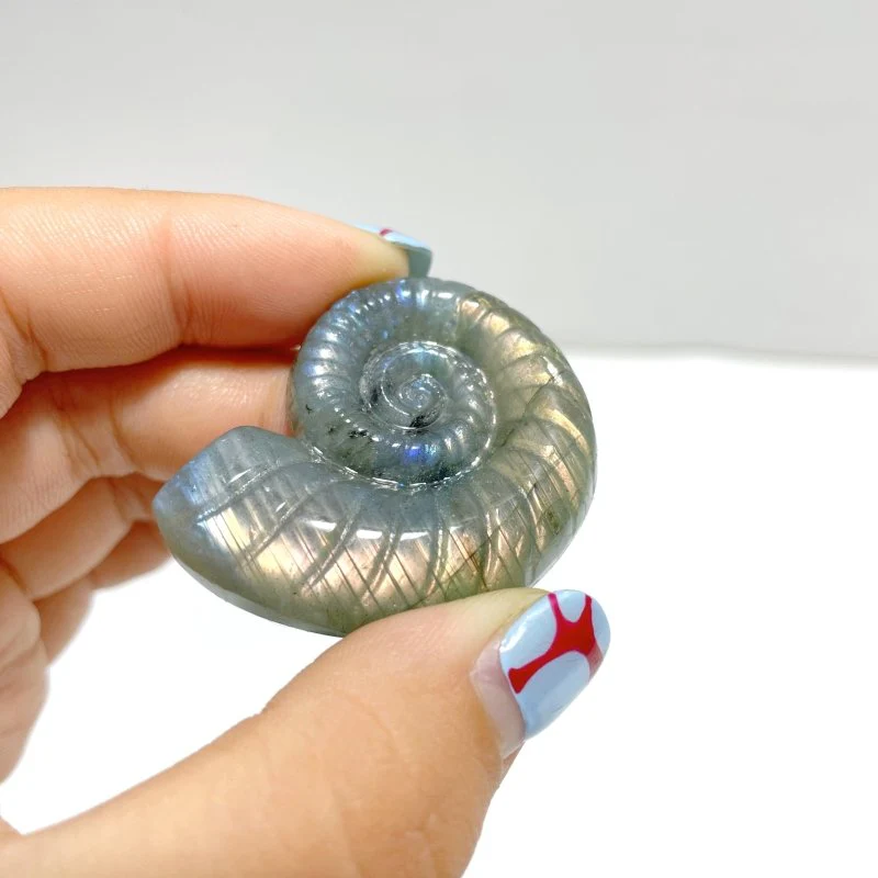 Labradorite Conch Carving Wholesale - Image 2