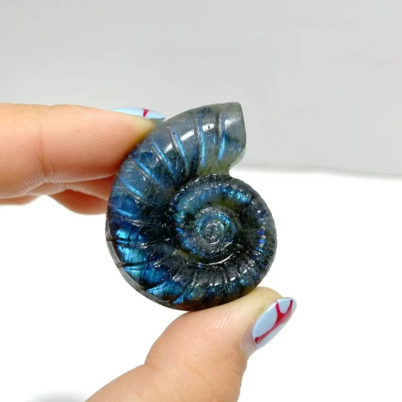 Labradorite Conch Carving Wholesale - Image 3