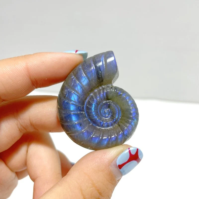 Labradorite Conch Carving Wholesale - Image 4