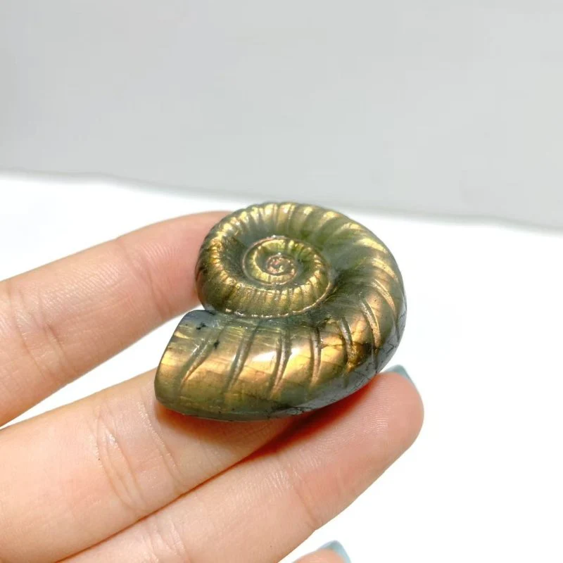 Labradorite Conch Carving Wholesale - Image 5