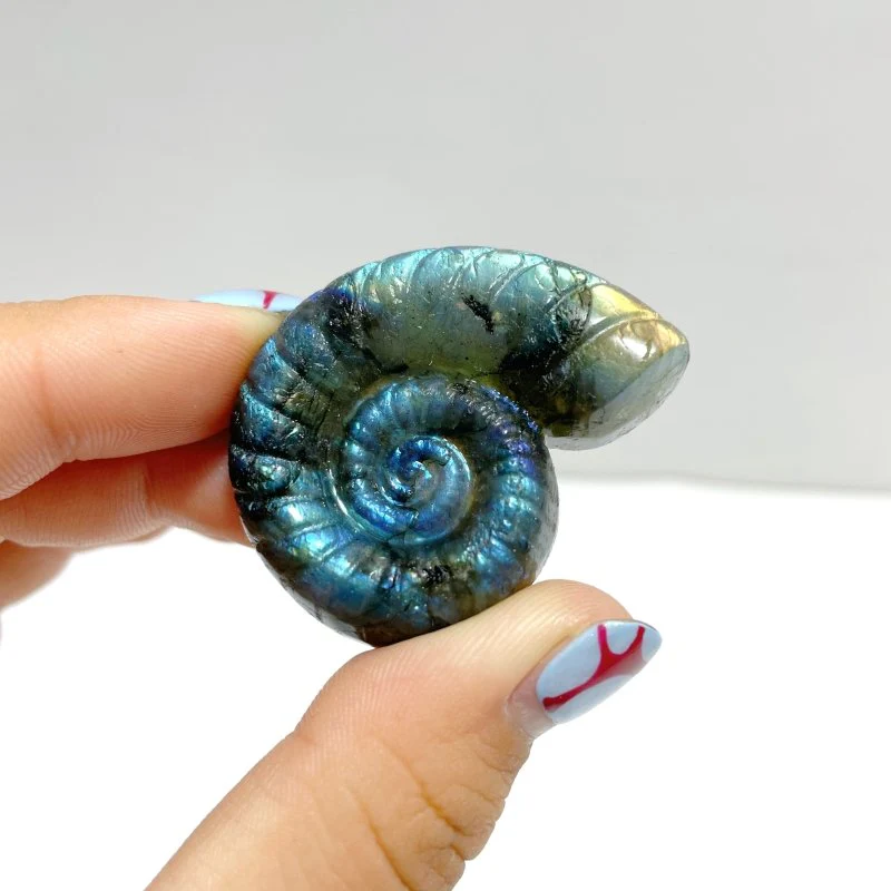 Labradorite Conch Carving Wholesale - Image 6