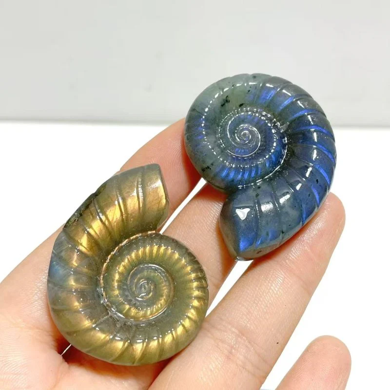 Labradorite Conch Carving Wholesale - Image 7