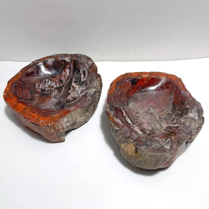 2 Pieces Large Petrified Wood Bowl