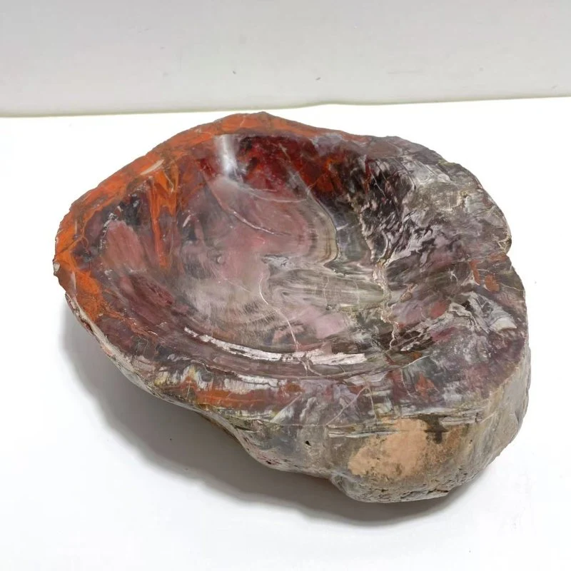 2 Pieces Large Petrified Wood Bowl - Image 2