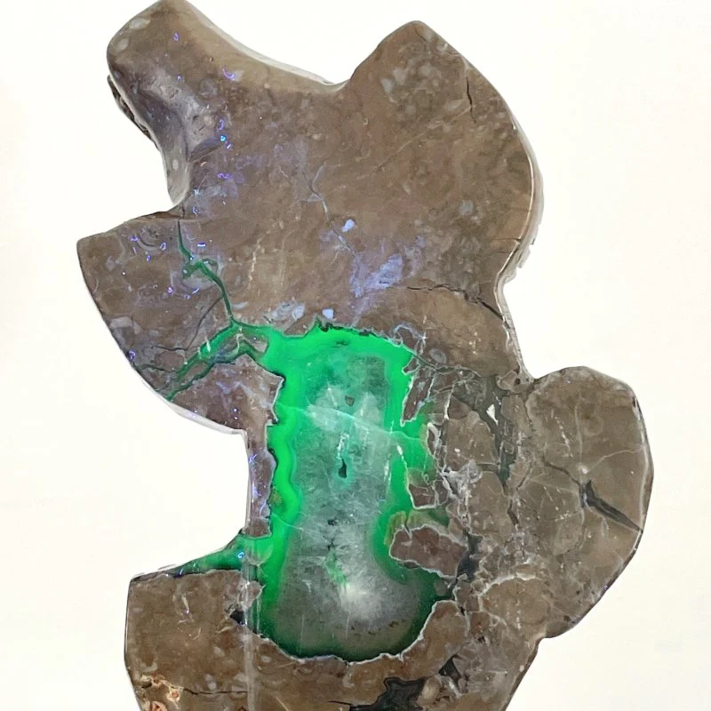 6 Pieces Large Volcanic Agate Crocodile Carving(UV-Reactive) - Image 4