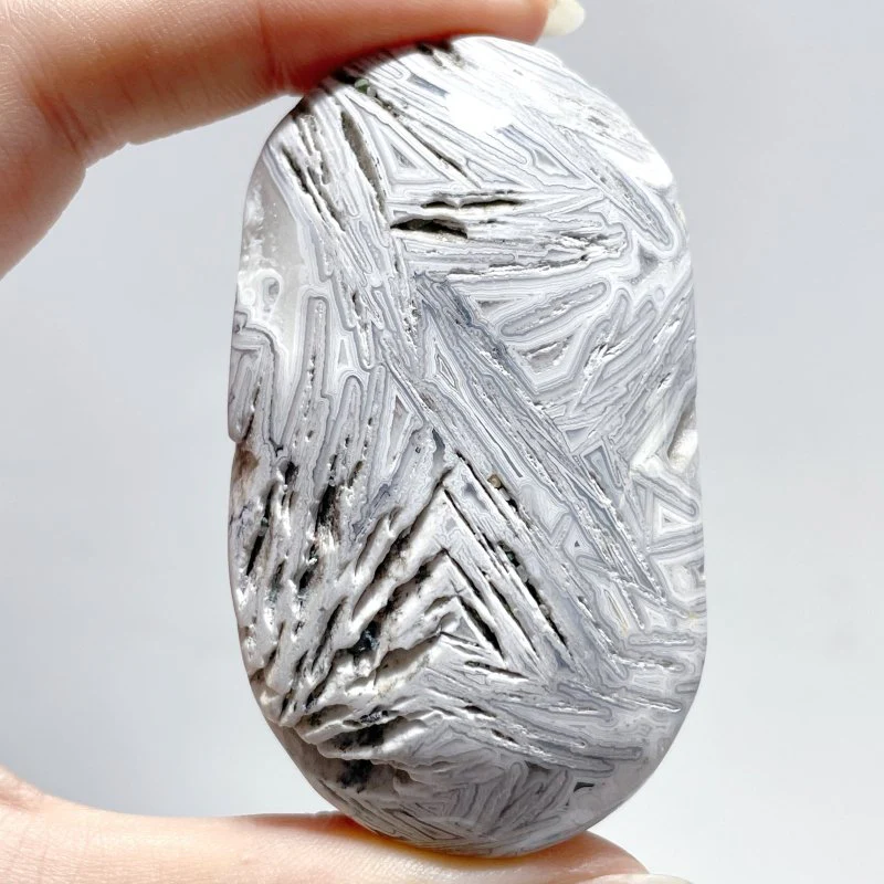 Morocco Agate Palm Wholesale - Image 3