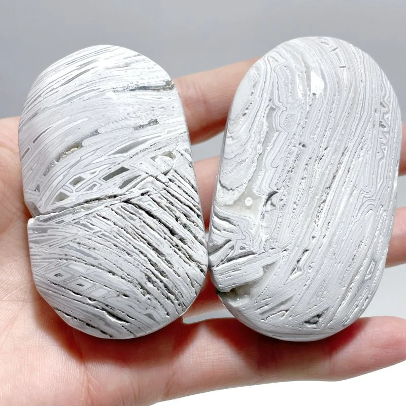 Morocco Agate Palm Wholesale - Image 4
