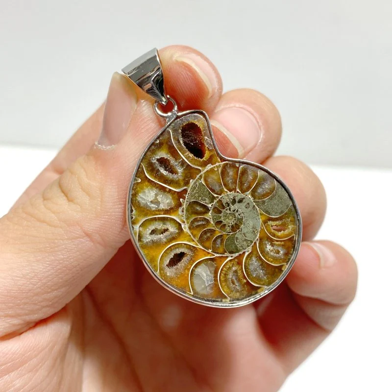 Natural Ammonite Fossil Conch Pendants Wholesale