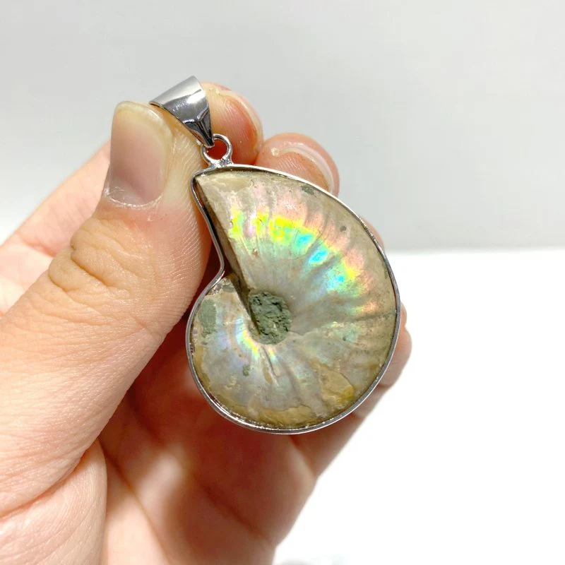 Natural Ammonite Fossil Conch Pendants Wholesale - Image 2