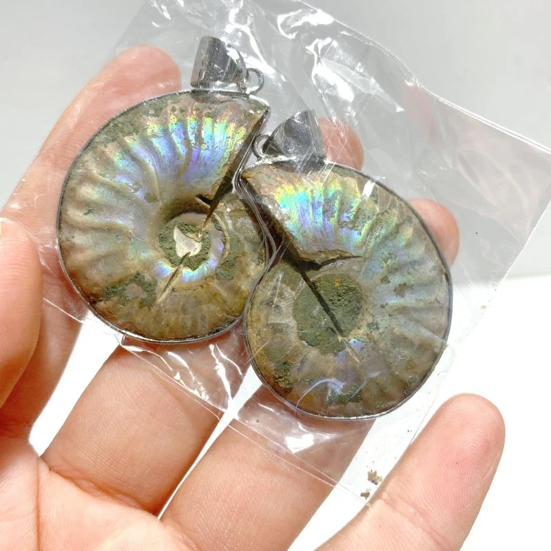 Natural Ammonite Fossil Conch Pendants Wholesale - Image 3