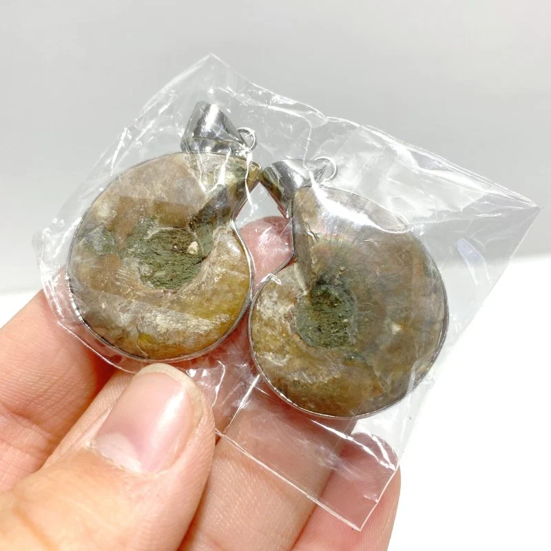 Natural Ammonite Fossil Conch Pendants Wholesale - Image 4