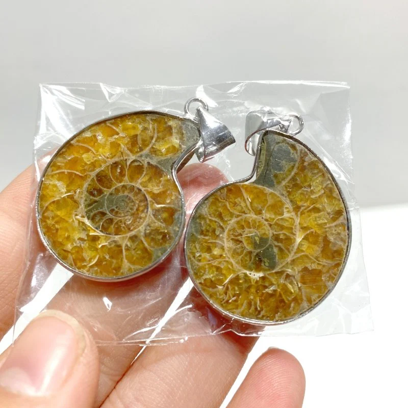 Natural Ammonite Fossil Conch Pendants Wholesale - Image 5