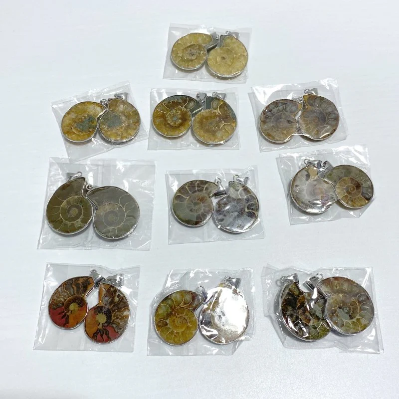 Natural Ammonite Fossil Conch Pendants Wholesale - Image 6