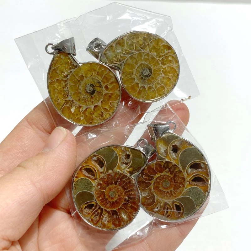 Natural Ammonite Fossil Conch Pendants Wholesale - Image 7