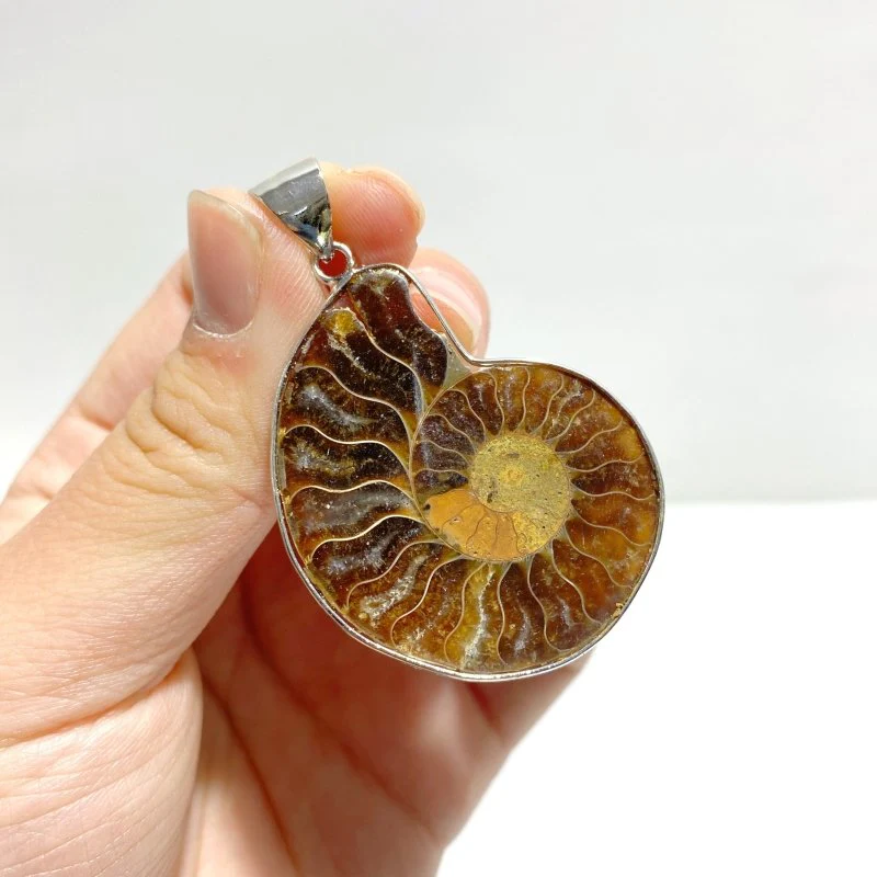 Natural Ammonite Fossil Conch Pendants Wholesale - Image 8