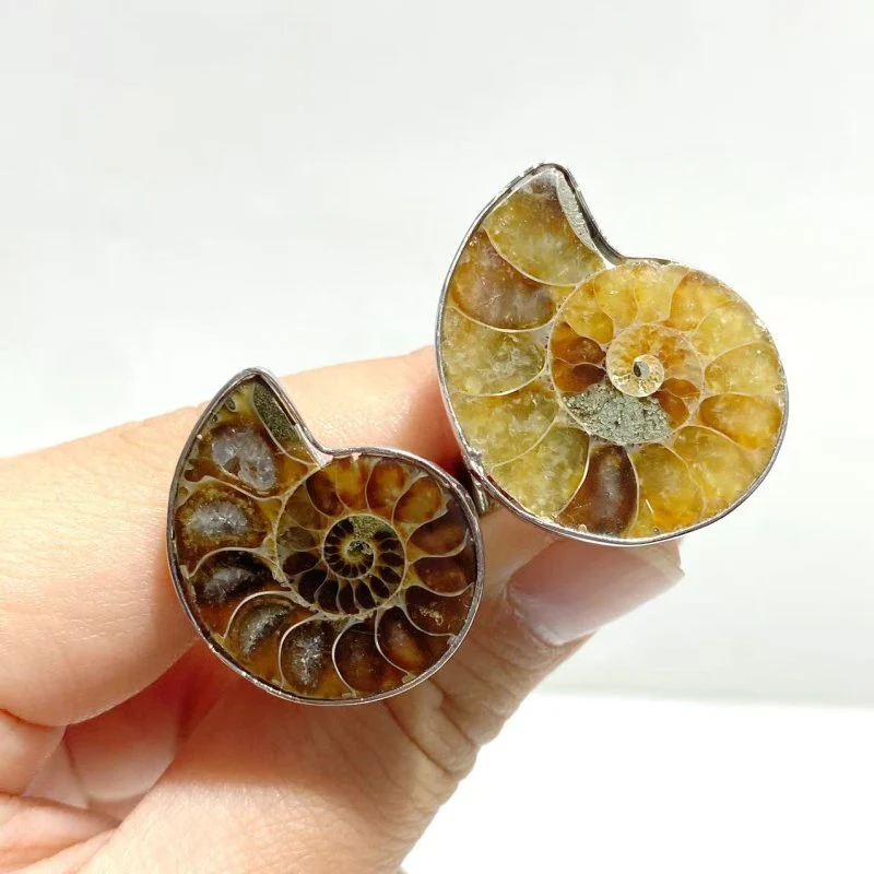 Natural Ammonite Fossil Conch Ring Wholesale - Image 3