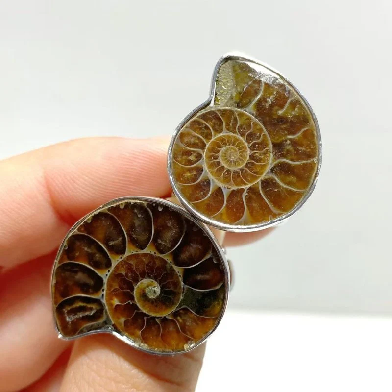 Natural Ammonite Fossil Conch Ring Wholesale - Image 5
