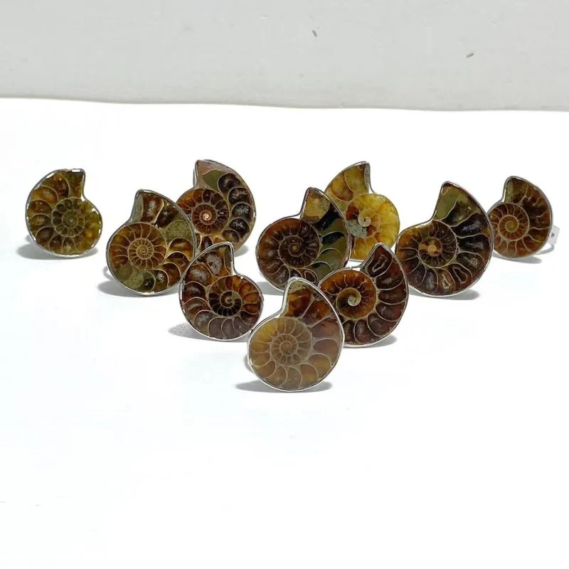 Natural Ammonite Fossil Conch Ring Wholesale - Image 6