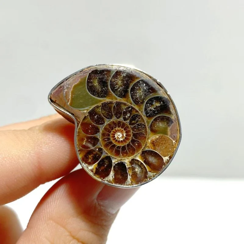 Natural Ammonite Fossil Conch Ring Wholesale - Image 7