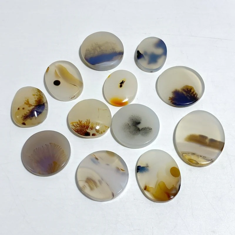 12 Pieces Natural Rare Scenic Dendritic Agate Cabochon