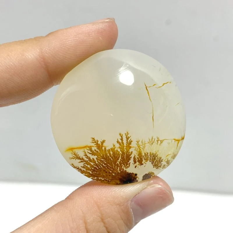 12 Pieces Natural Rare Scenic Dendritic Agate Cabochon - Image 2